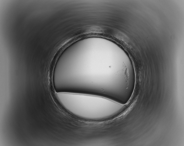 X0000096211113200801181004