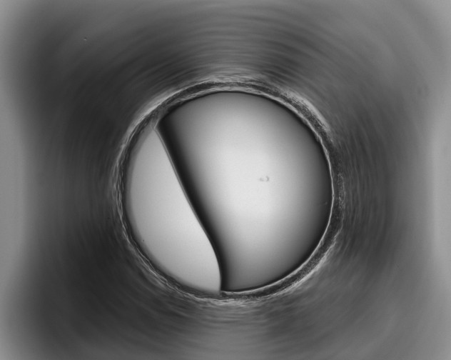 X0000096211114200801181004