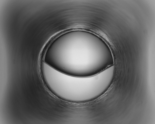X0000096211116200801181004