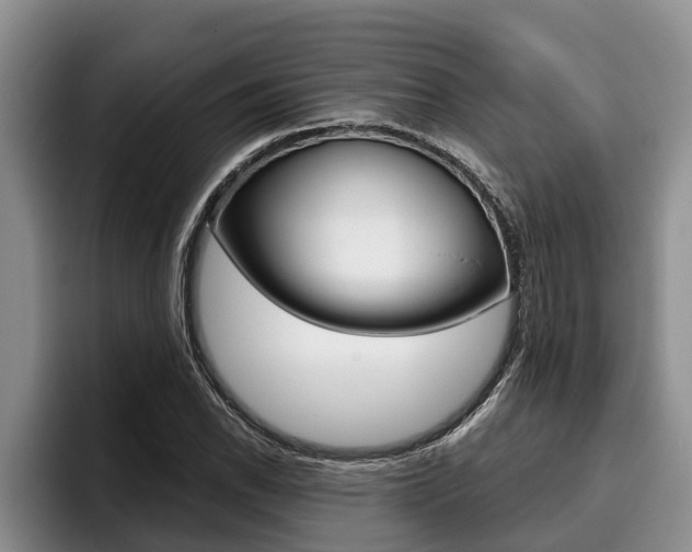 X0000096211118200801181004