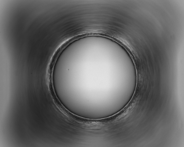 X0000096211119200801181004