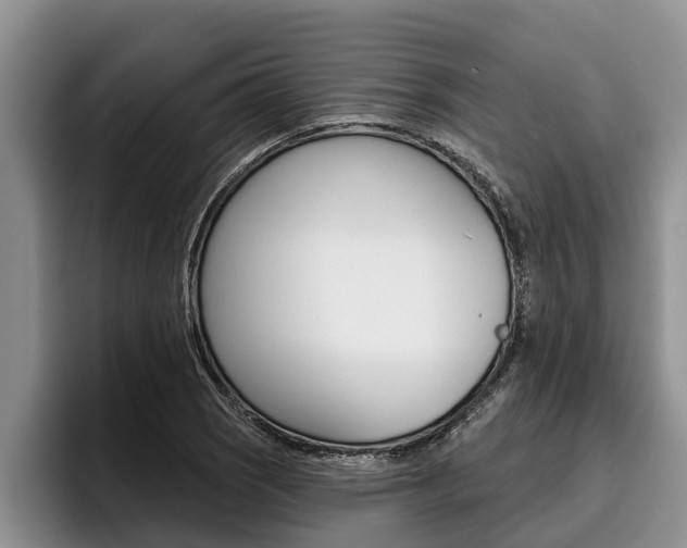 X0000096211121200801181004