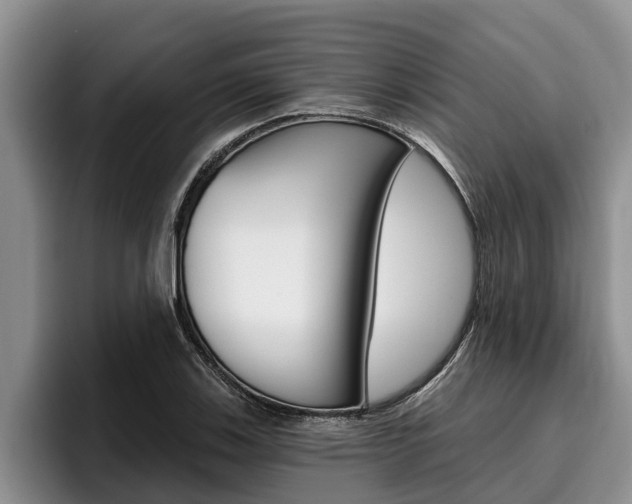 X0000096211123200801181004