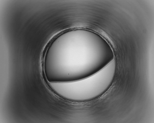 X0000096211124200801181004
