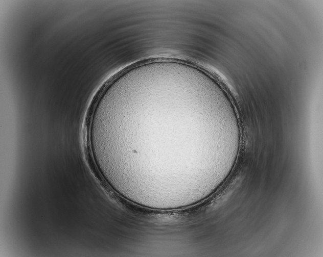 X0000096211125200801181004