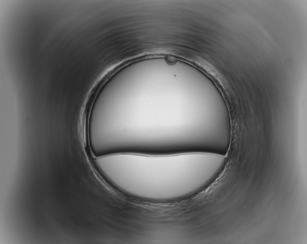 X0000096211127200801181004