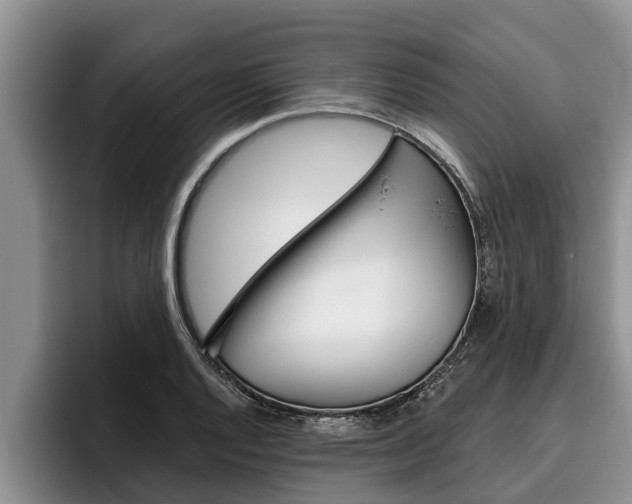 X0000096211128200801181004