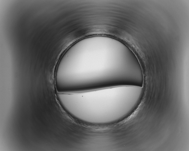 X0000096211129200801181004
