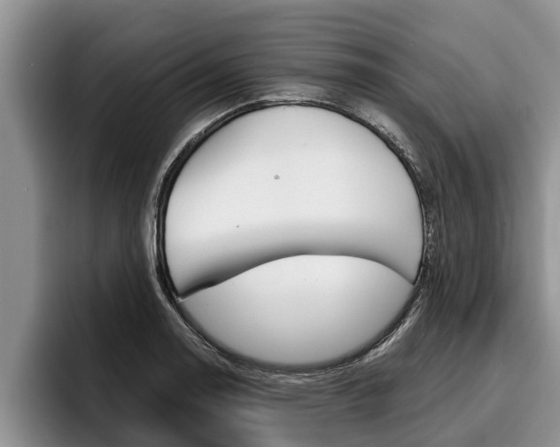 X0000096211130200801181004