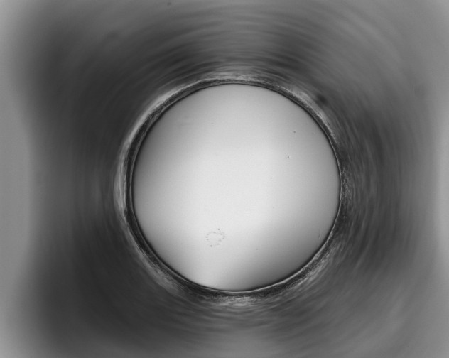 X0000096211131200801181004