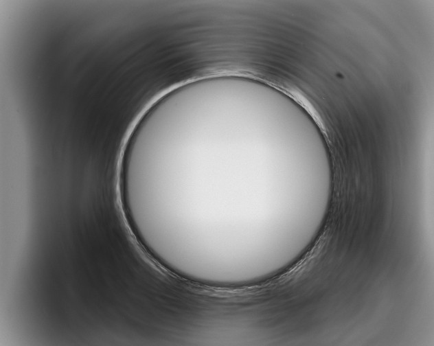 X0000096211132200801181004