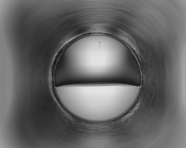 X0000096211133200801181004
