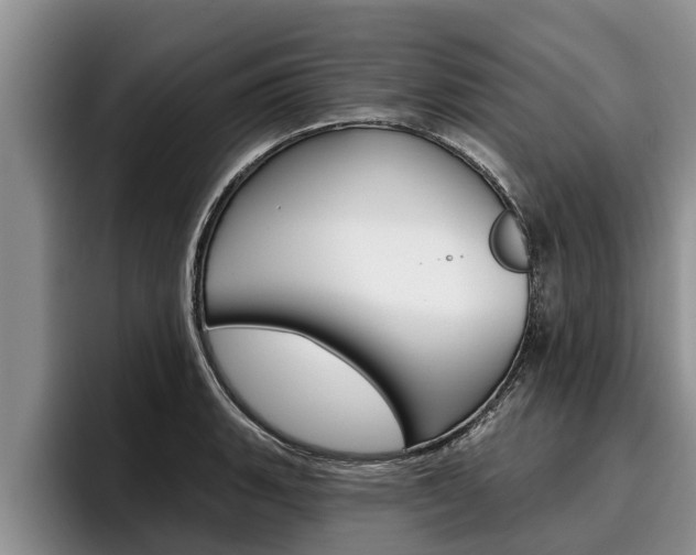 X0000096211135200801181004
