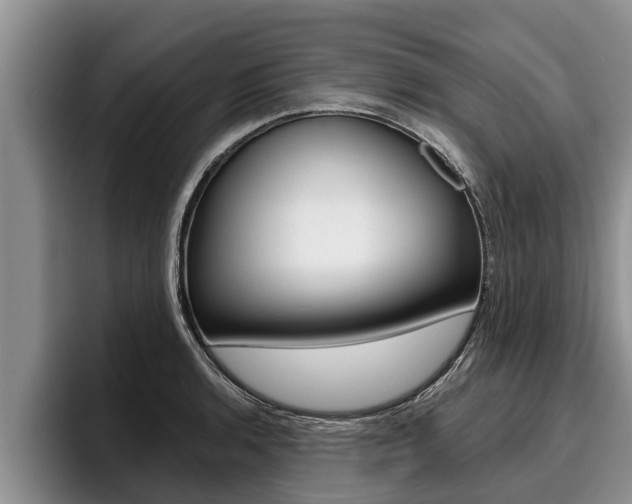 X0000096211136200801181004