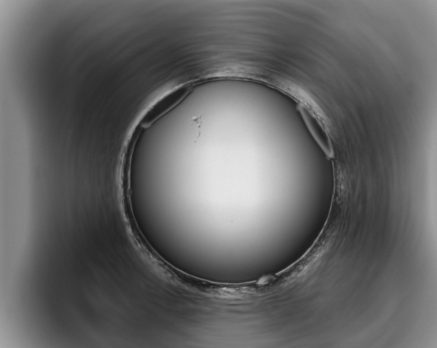 X0000096211138200801181004