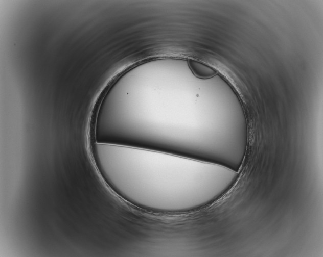 X0000096211139200801181004