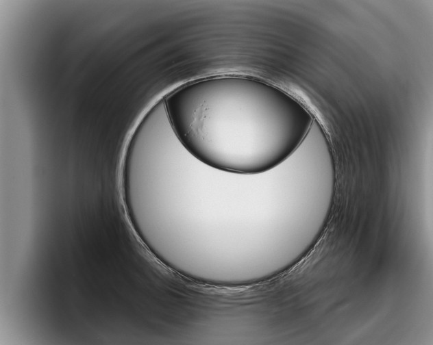 X0000096211140200801181004