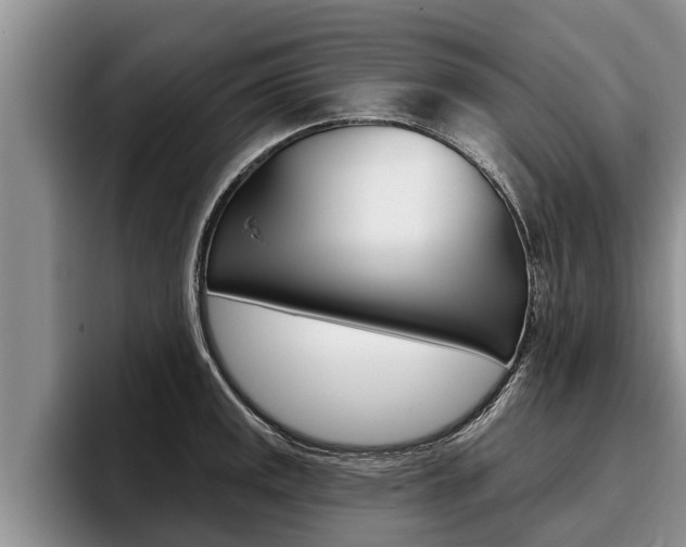 X0000096211141200801181004