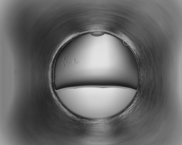 X0000096211142200801181004