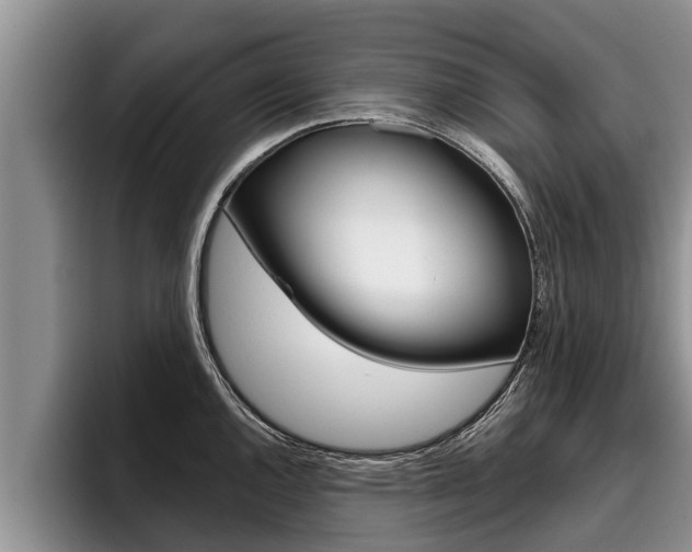 X0000096211144200801181004