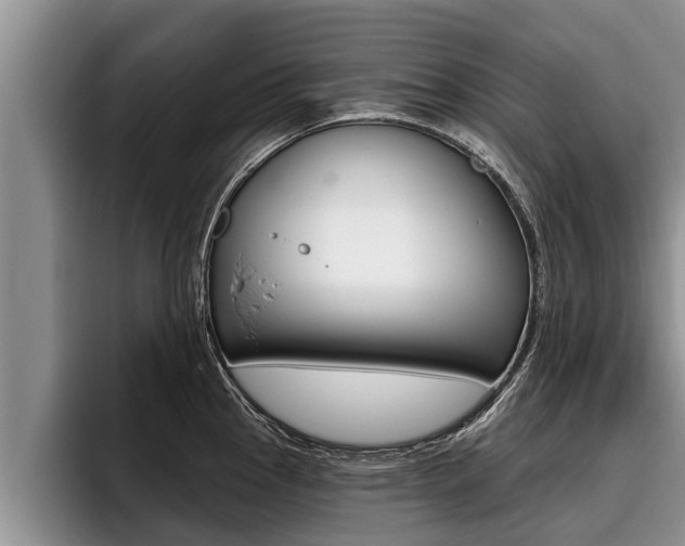X0000096211145200801181004