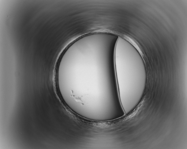 X0000096211149200801181004