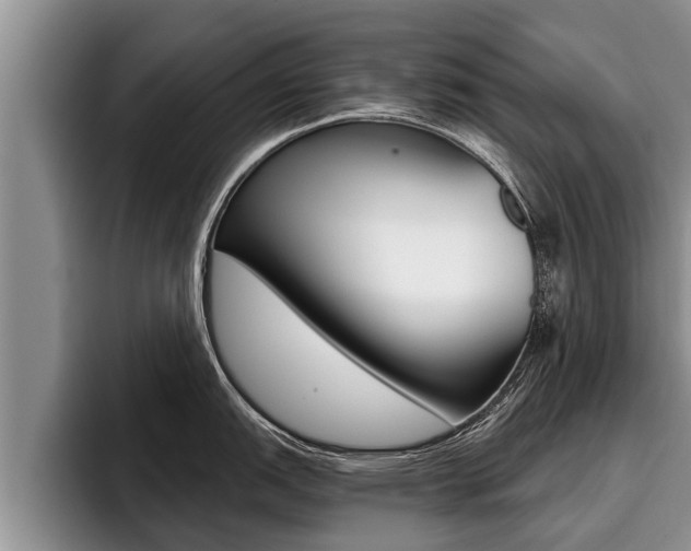 X0000096211151200801181004