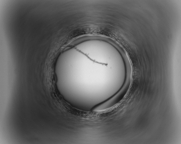 X0000096211153200801181003