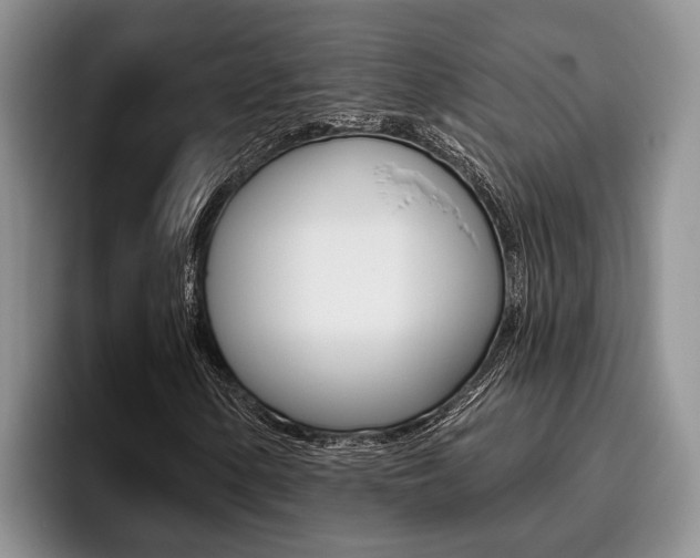 X0000096211154200801181003