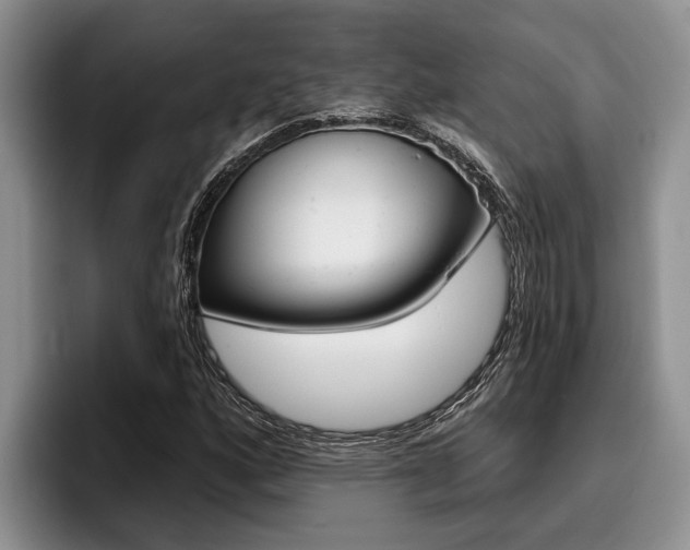 X0000096211160200801181003