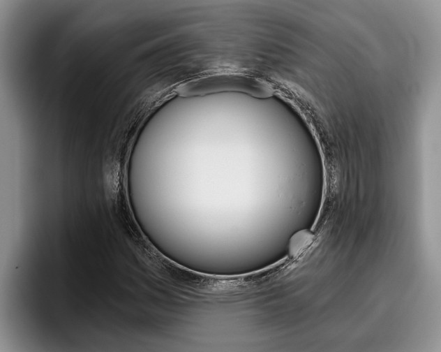 X0000096211161200801181003