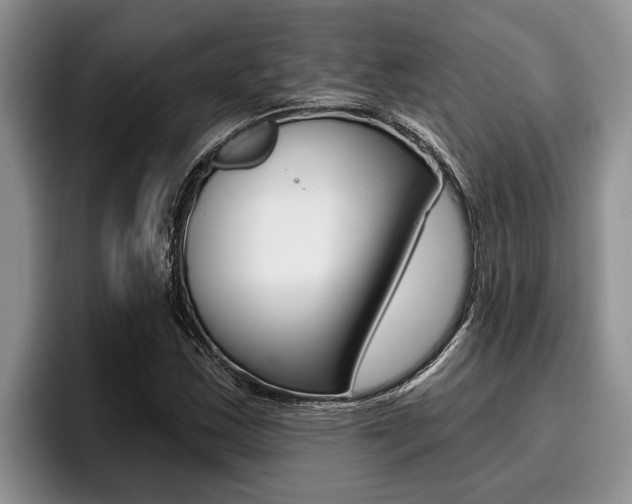 X0000096211163200801181003