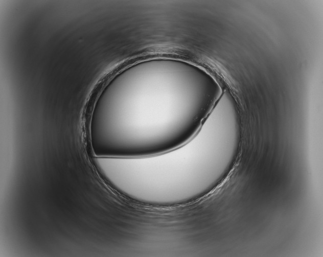 X0000096211164200801181003