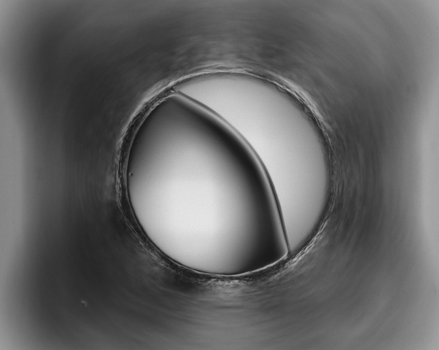 X0000096211168200801181003