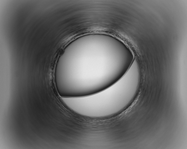 X0000096211169200801181003
