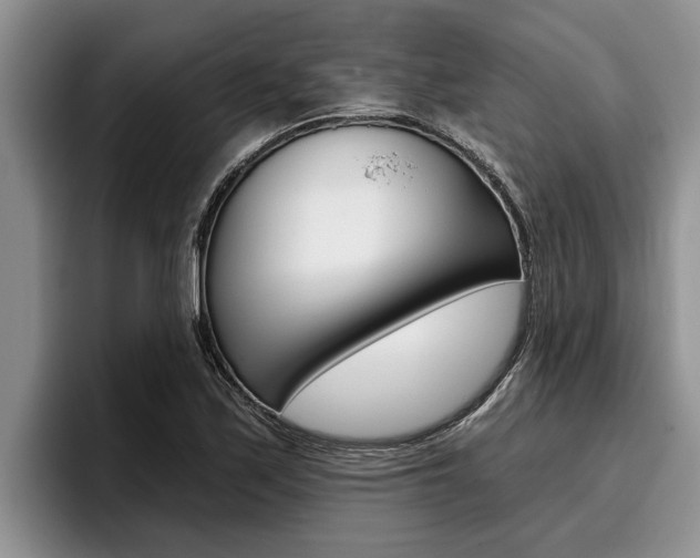 X0000096211171200801181003
