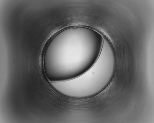 X0000096211173200801181003