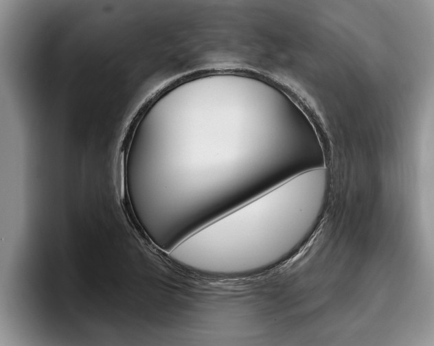 X0000096211175200801181003