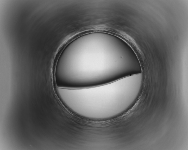X0000096211176200801181003