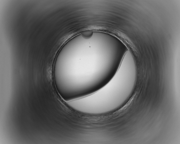 X0000096211177200801181003