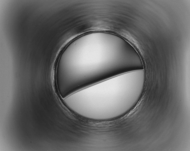 X0000096211179200801181003