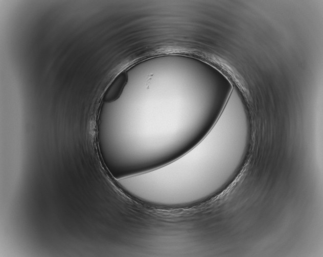 X0000096211185200801181003