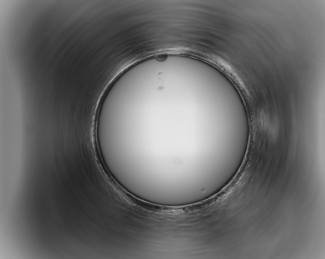 X0000096211186200801181003
