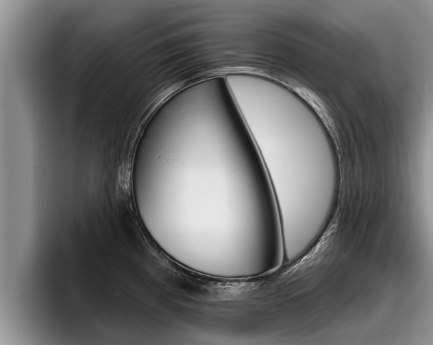 X0000096211193200801181003