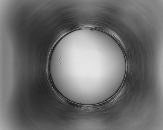 X0000096211194200801181003