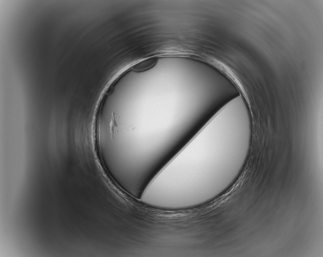 X0000096211195200801181003