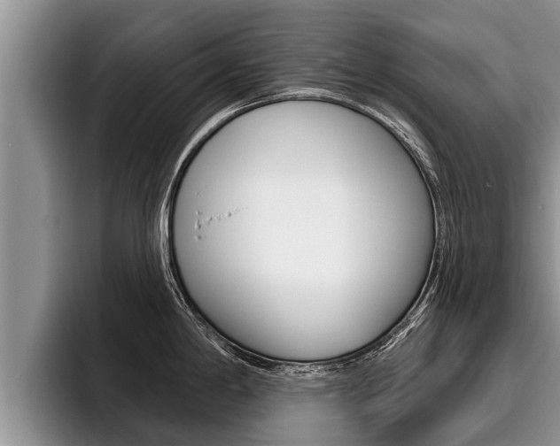 X0000096211198200801181003