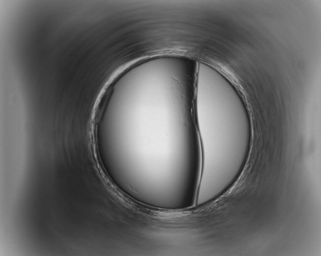 X0000096211200200801181003