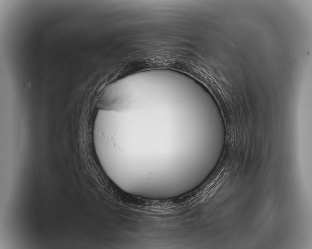 X0000096211201200801181002