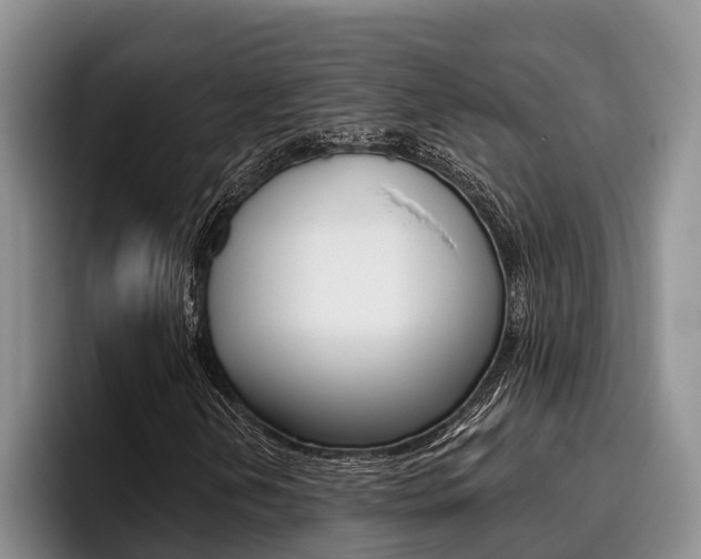 X0000096211202200801181002